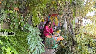 The balcony turned into a forest - Delightful apartment with handmade and emotional decoration