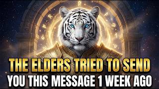 Lightworkers, Don't Delay Any Longer — Listen to This Now | Lyran Council Message