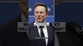 What's Elon Musk's role in the government?