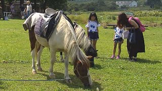 鳥海高原花立で遊ぼう（令和2年8月25日放送）【秋田県由利本荘市】