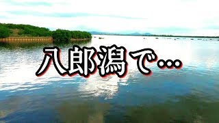 【バス釣り】八郎潟で今回はちょっと違うことを…