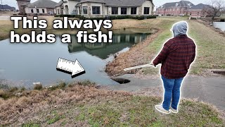 都会の池での冬のバス釣り | ダラス・フォートワースでの釣り（寒くて雨の多い 2 月の釣り！）