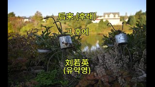 后来(후래) 첫사랑이 생각나는 중국노래 - 刘若英(유약영)