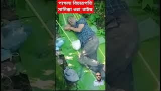 পক্ষপাতী বিচারপতি মানিক্কা ধরা খাইছে #bangladesh #কোটা #dhaka #কোটাআন্দোলন #shorts #বিএনপি  #rtvnews