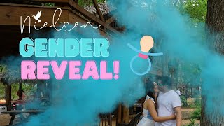 Gender Reveal! | The Nielsens