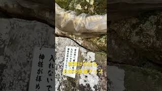 弁財天白龍王大権現　雪解け水から金運が降り注ぐ　白蛇様の御利益