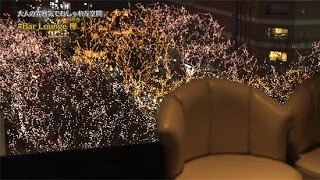 定禅寺通を眺められる大人の空間。SENDAI光のページェントはもちろんですが、定禅寺通の四季折々の変化を眺めながらのお酒は、また格別ですね。【Bar Lounge 欅 ハシュカリ#167】