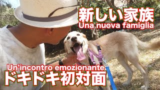 【感動の初対面】我が家に新しい家族が増えました！Un incontro emozionante con una nuova famiglia! 45歳なんでも屋 イタリア田舎暮らしの休日