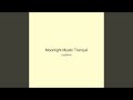 Moonlight Mystic Tranquil