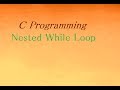 nested while loop in c