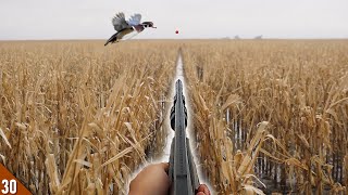 Duck Hunting a FLOODED Cornfield! (Limited Out) | MALLARDS and WOOD DUCKS Over a SMALL Spread