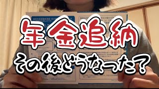 【アラフォー独身女】国民年金追納その後どうなった？｜納付猶予｜免除｜パート｜実家暮らし｜