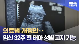 의료법 개정안‥임신 32주 전 태아 성별 고지 가능 (2024.12.02/5시뉴스와경제/MBC)