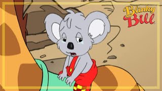 A DOGS BEST FRIEND - Episode 23 - Season 3 - The Adventures of Blinky Bill