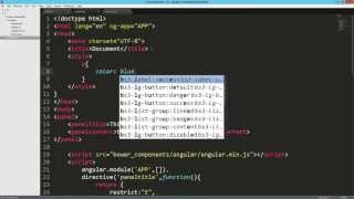 AngularJS Transclude