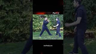Wing Chun vs Mantis Kung Fu Techniques - Part 17 #shorts