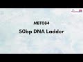 50bp DNA Ladder  - MBT084 1