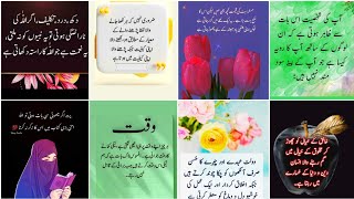 Golden Words |Best Collection Of Quotes |Motivation Quotes| islamic status| urdu Quotes |Urdu Quotes