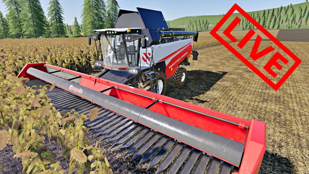 SŁONECZNIK I Zakup Ciągnika. ☆ No Man's Land ☆ FARMING SIMULATOR 19 ...