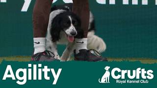 Agility Champs Small/Medium (Agility) Part 2 | Crufts 2026
