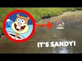 I FOUND SANDY FROM SPONGEBOB IN REAL LIFE!