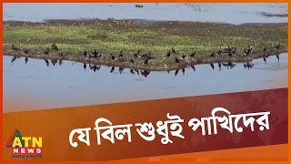 পাখির রাজ্য বাইক্কা বিল | ATN News