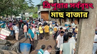 চলুন আপনাদেরকে ঘুরিয়ে নিয়ে আসি ত্রিপুরার সবচেয়ে বড় মাছ বাজার থেকে ❤🐠