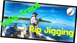 Rip Jigging Lake Trout