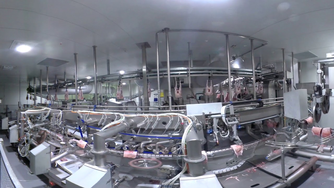 360 Degree Walkthrough Of Automated Lamb Processing At Jbs Brooklyn