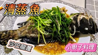 清蒸魚 做法/清蒸魚 沙巴龍躉/家常小菜/食譜/Steamed fish recipe @ 小廚子料理