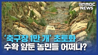 '축구장 1만 개' 초토화⋯농민들 '망연자실'/대전MBC