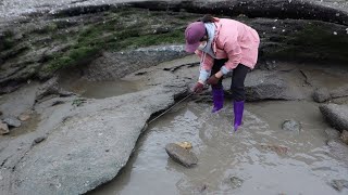 猪猪前往“聚宝坑”抽水，表面看没货没想到石缝边全是值钱货，发财了！