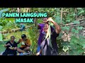 WES SUWE ORA MASAK IKI || JAN MUANTUL RASANE || PANEN GAMBAS