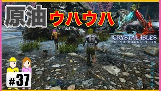 #37【ARKクリスタルアイルズ】原油・水晶・黒曜石がゲットできる場所！　PS4版