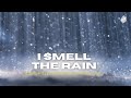 I Smell The Rain | Bishop-Elect Quincy D. Griffin, Sr. | The FWPC