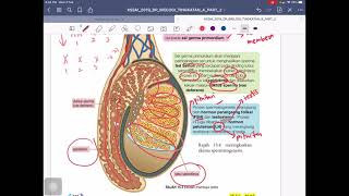 BIOLOGI KSSM T4 BAB 15 (BAHAGIAN 15.1 DAN 15.2)