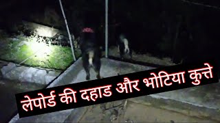 Bhotia Dog in Night timell Lepord Roaringll #BharatkDogsll