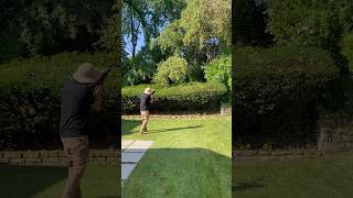 Airsoft vs Wasps #airsoft #gun #wasp #bees #hornets #bb #landscape