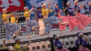 よさこい あっぱれ　2017安濃津よさこい10/7（土）　メイン会場