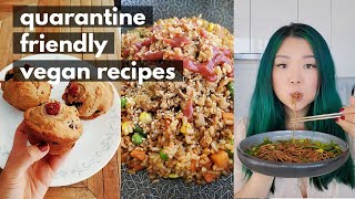 COOK WITH ME! Quarantine Friendly Vegan Recipes (part 2) // pantry & freezer recipes