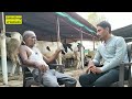 20 गुंठे जमीन 15 गाई पूर्ण विकतचा चारा 20 gunthas of land 15 cows full sale fodder dairyfarm