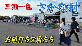 【三河一色さかな村】お盆前の魚市場で「車海老」と「新仔うなぎ」を買いました。