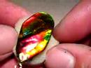 tri color change ammolite