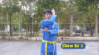 Kỹ thuật Tay - Bộ Chém - Vovinam Việt Võ Đạo