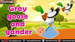 KIDS RHYME ~ Gray goose and gander | Popular Nursery Rhymes