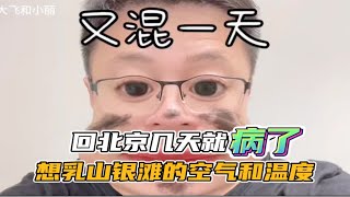 回北京就生病，咋回事？特别想乳山银滩新鲜空气