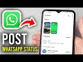 How To Post A Status On WhatsApp - Step By Step
