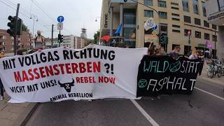 Swarming Innenstadt Köln Extinction Rebellion 17.6.20 #RebellionWave