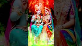 Sun Mere laddu Gopal #song