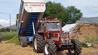 Matteo Metty Di Girolamo’s Fiat 980 DT – Unstoppable Power Pulling a Loaded Silage Trailer!